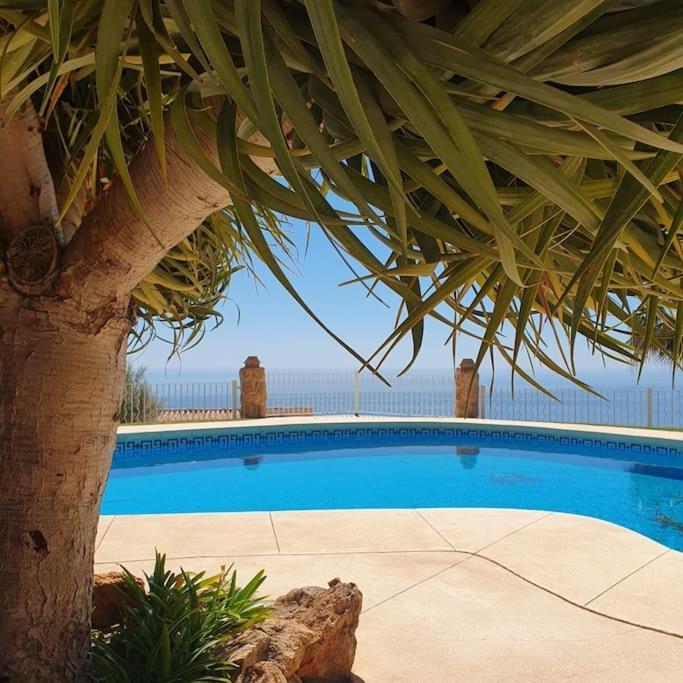 New Alquibla Gardens, Terrace & Pool Appartement *